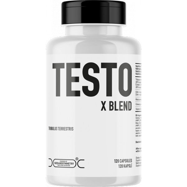 Testo XBlend_cool-body.eu